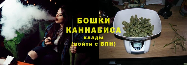 дмт Краснослободск