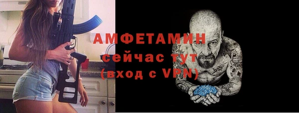 дмт Краснослободск