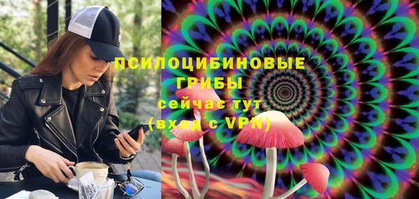 дмт Краснослободск
