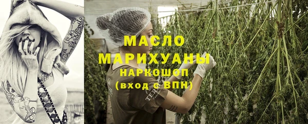 дмт Краснослободск
