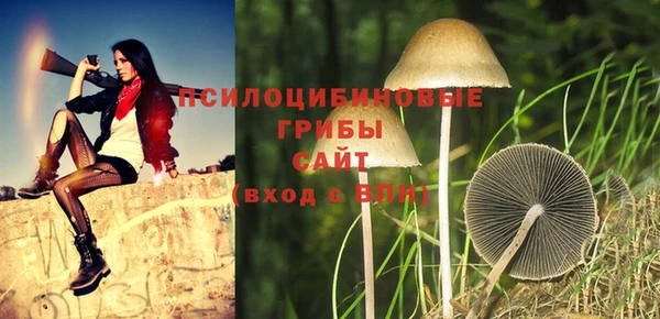 амф Коряжма