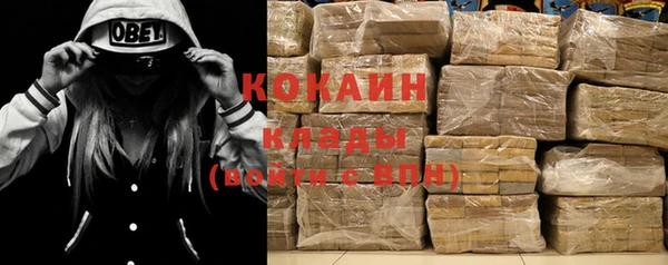 амф Корсаков