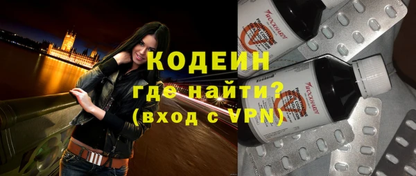 дмт Краснослободск