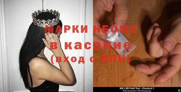 дмт Краснослободск