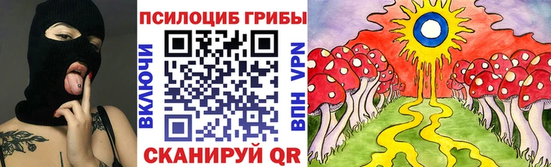 Купить где Белогорск Псилоцибиновые грибы Cubensis